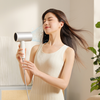 Thermostatic Hair Dryer