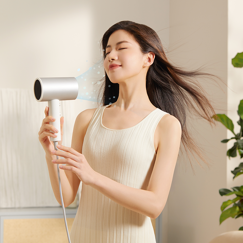 Thermostatic Hair Dryer