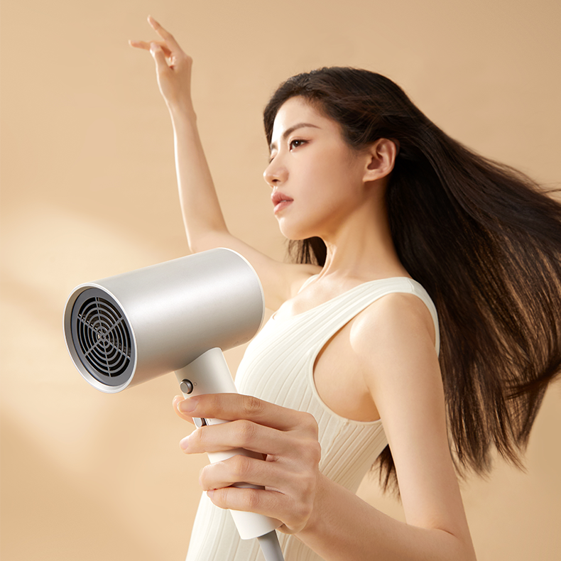 Thermostatic Hair Dryer