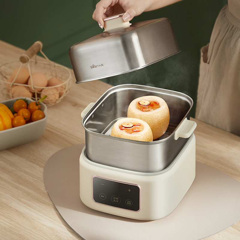 How Do You Choose the Best Electric Stew Pot for Your Kitchen?