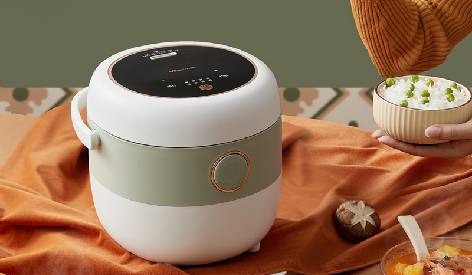 Cooking Nirvana: The Quest for the Perfect Electric Rice Cooker