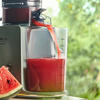 Slow juicer with Ice Crushing Function